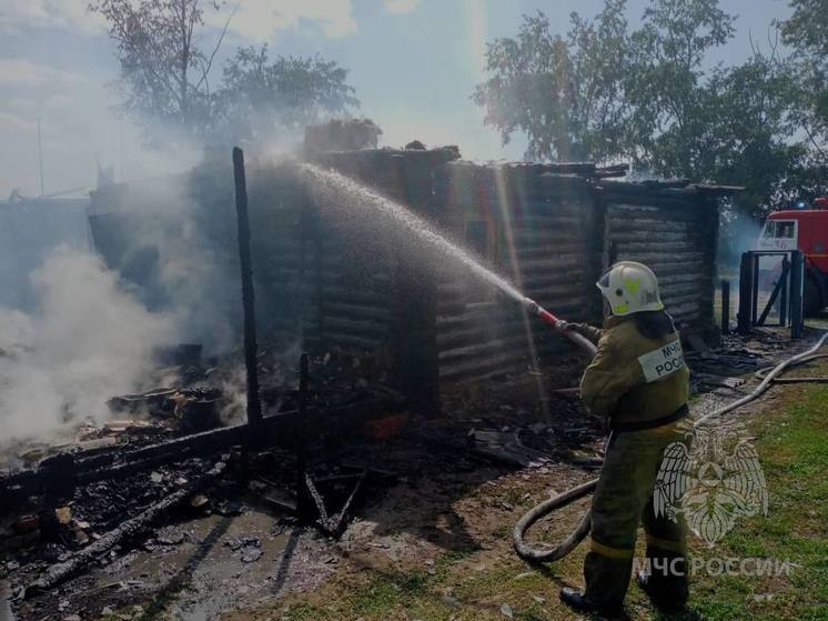 Два человека погибли при пожаре в Егорьевском районе