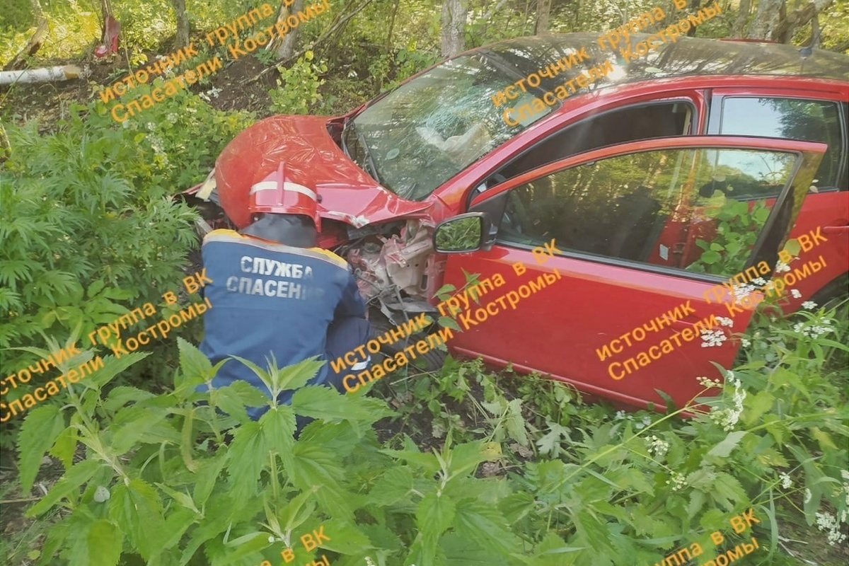 Костромские ДТП: дерево упало, водятел сбежал