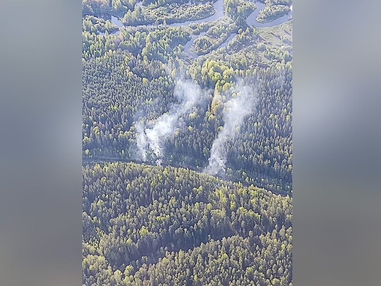 В Новгородской области потушили 22 природных пожара с начала сезона