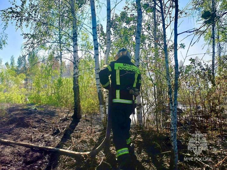 Три лесных пожара за один день ликвидировали спасатели в Смоленской области