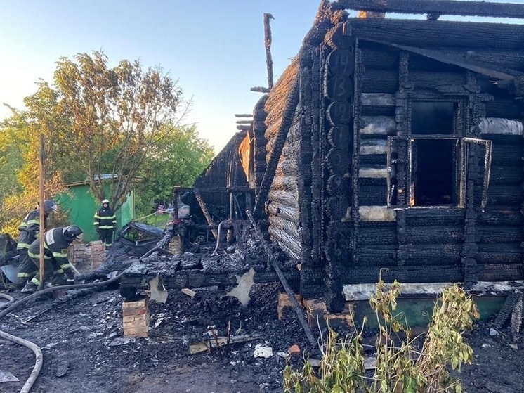 Двое взрослых и двое детей погибли при пожаре в Орехово-Зуево