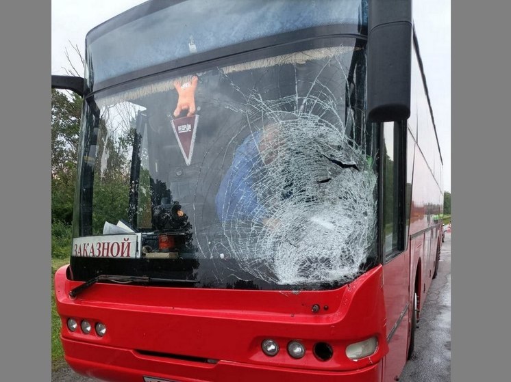 Под Воронежем под колесами автобуса погиб неизвестный мужчина