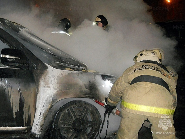 11 июня в Ивановской области пожарные тушили два микроавтобуса и автомобиль