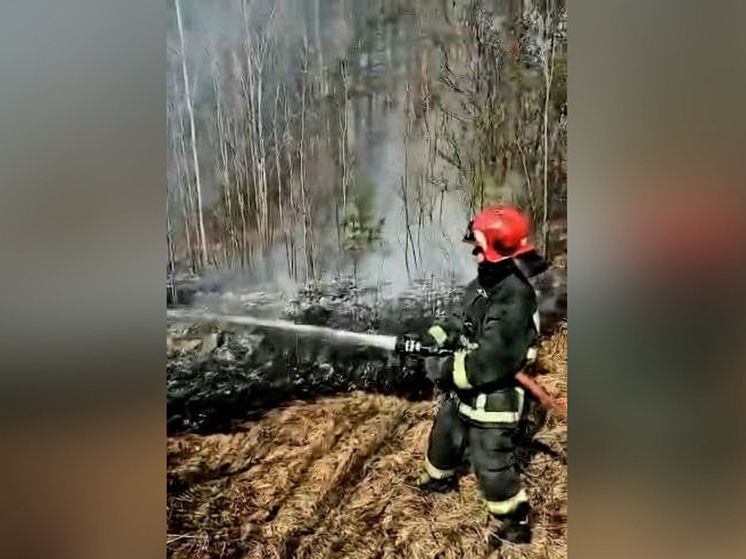 Под Полярными Зорями выгорело 200 квадратов леса