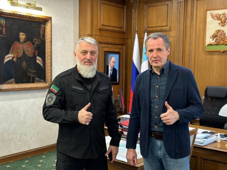 Вячеслав Гладков встретился депутатом Делихмановым