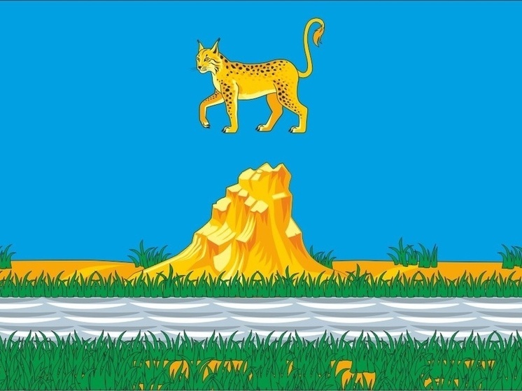 Жителям Холмского района предлагают выбрать дизайн флага