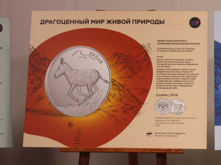 В Центральной библиотеке Иванова открылась выставка «Драгоценный мир живой природы»