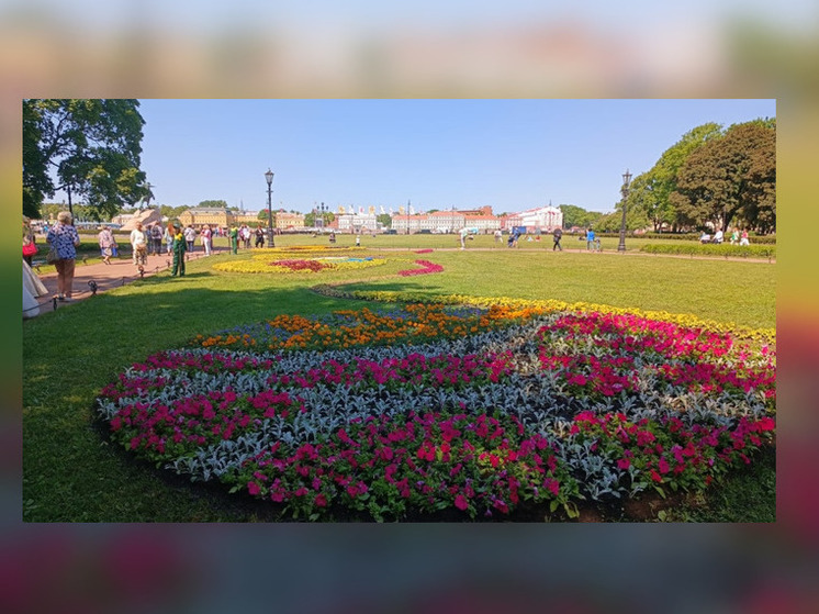 Александровский сад украсили цветочные композиции из 24 тысяч растений