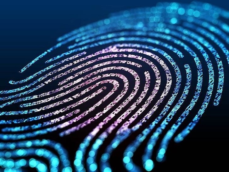 Большая часть владимирцев не хочет предоставлять биометрические данные
