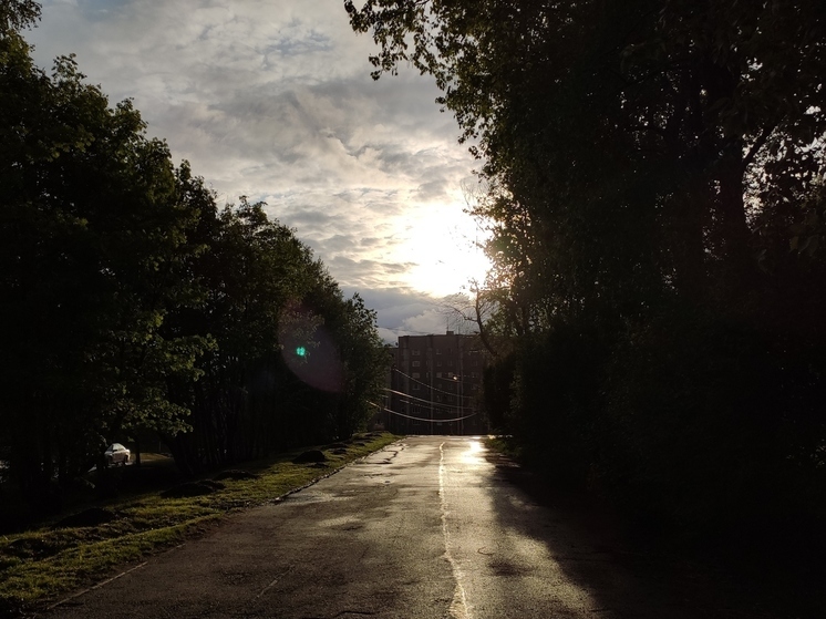 В Мурманске 13 июня ожидается до +17 градусов тепла