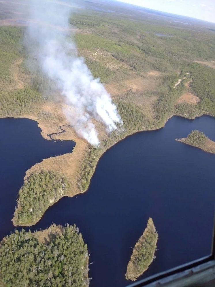Парашютисты-десантники ликвидировали только начинавшийся лесной пожар на севере Карелии