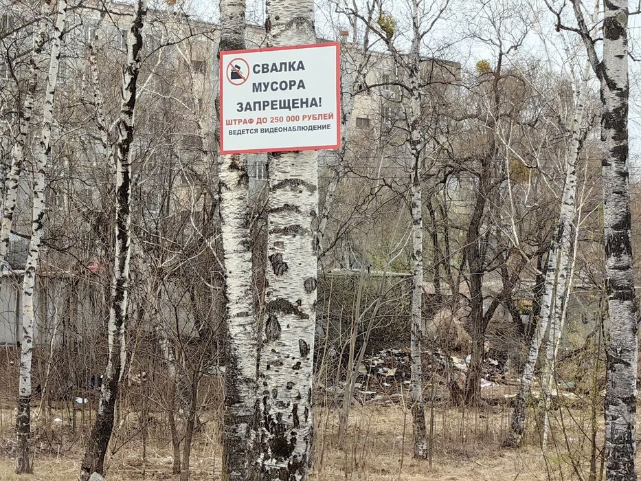 Мусорный ручей и грязные объекты: фото недавно благоустроенного сквера в Хабаровске