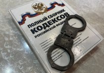 В Благовещенске осужден 38-летний местный житель за 16 краж из магазинов на общую сумму более 160 тысяч рублей. Об этом сообщили в пресс-службе прокуратуры Амурской области.