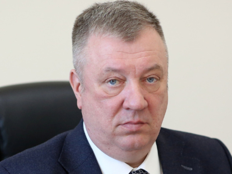 Депутат Госдумы Гурулев призвал отселить жителей Курской области из-за обстрелов