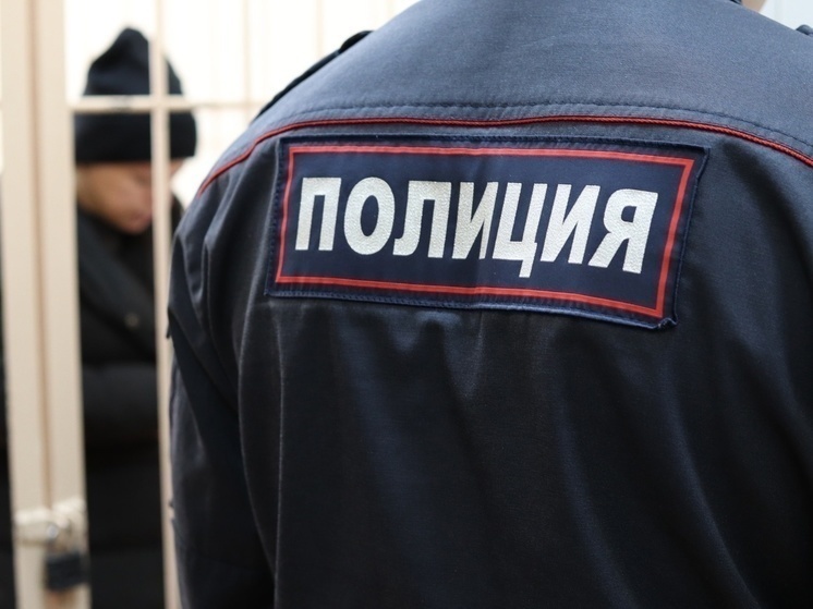 В Омске троих друзей заподозрили в открытии интернет-магазина по продаже наркотиков