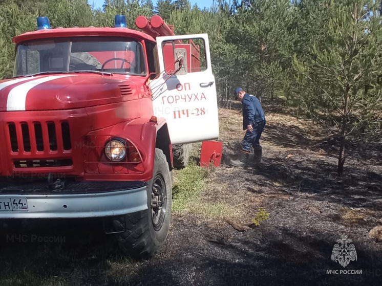 В День России в Макарьевском районе костромские пожарные боролись с огнем в лесу