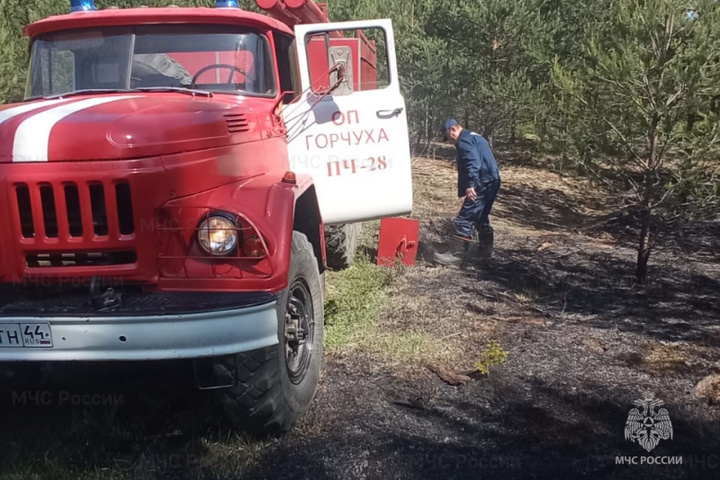 В День России в Макарьевском районе костромские пожарные боролись с огнем в лесу