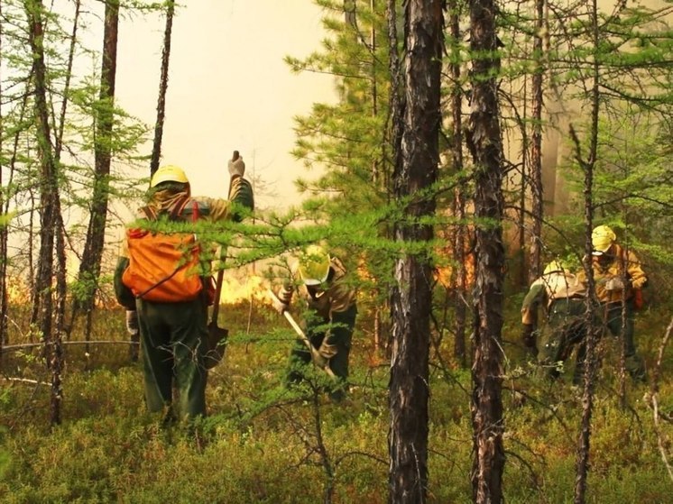 Два лесных возгорания потушили за сутки в Приангарье