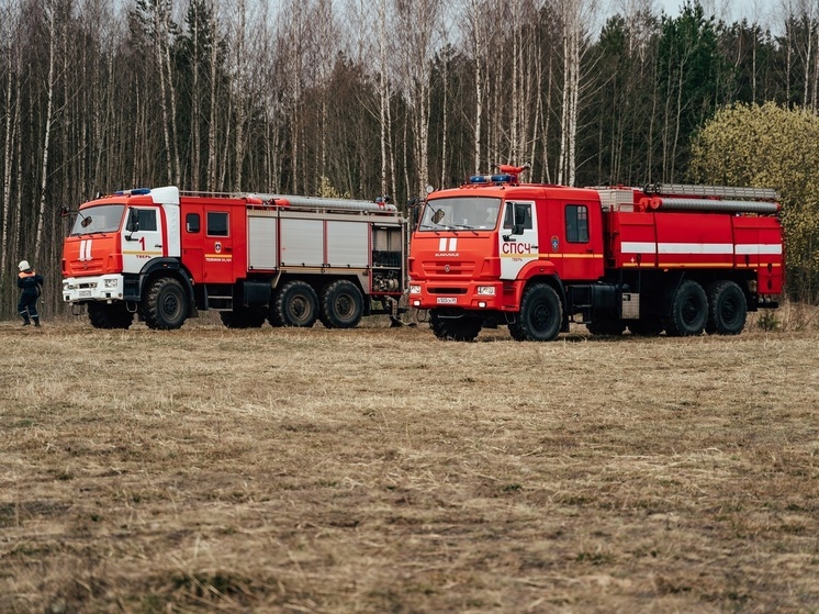 В районе поселка Тверской области горит лесная подстилка