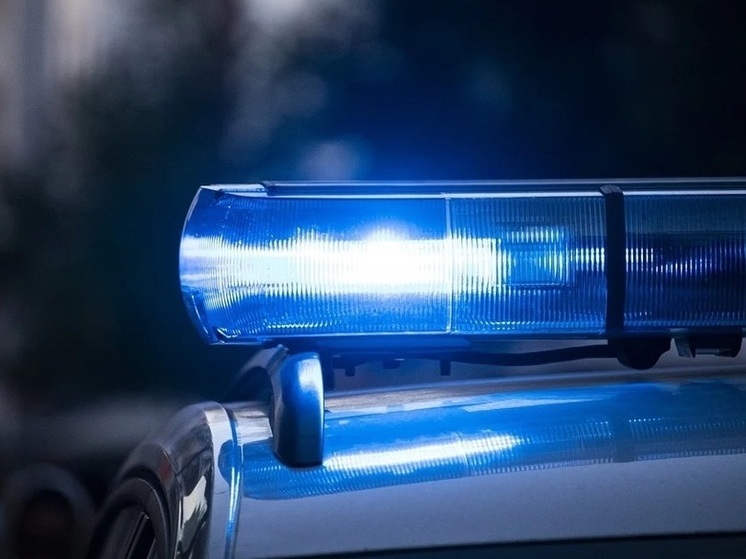 Смолянин угнал автомобиль друга и съехал в кювет, уходя от преследовавшей его полиции