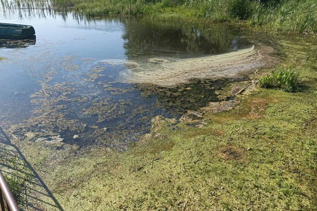 Водоемы санкт петербурга