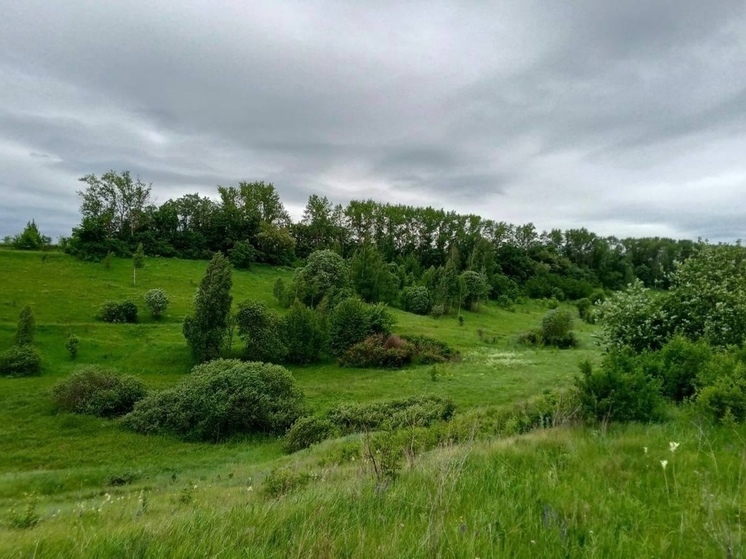 В Золотухинском районе Курской области появилась экотропа