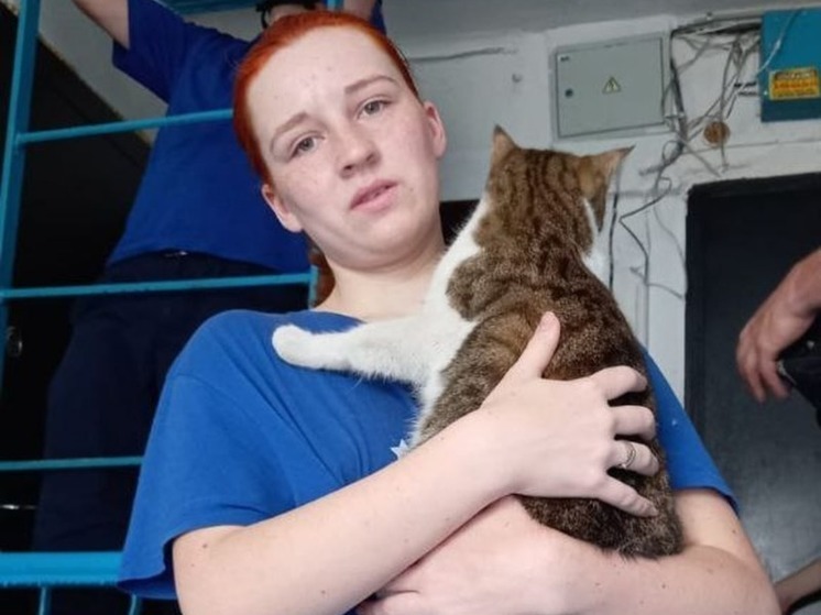Новороссийские спасатели сняли кота с чердака дома