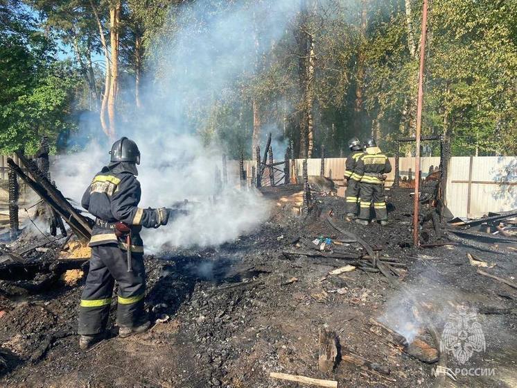 В Новосибирске 11-летний мальчик погиб в пожаре на дачном участке