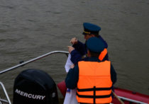Прокуратура организовала проверку в связи с инцидентом с подростком на реке Зея. По предварительным данным, ребенок пропал во время купания.