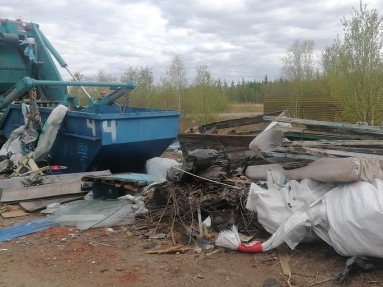 Бункеры на Арахлее предложили оградить из-за крупного мусора