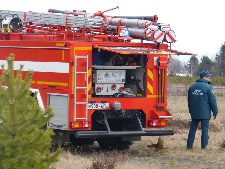Огонь уничтожил квартиру в многоэтажке города бумажников в Карелии