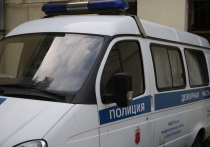 В Санкт-Петербурге задержали местного жителя, который стрелял из пневматической винтовки по прохожим из окна квартиры
