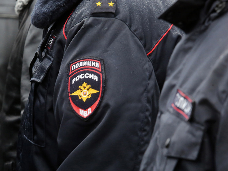 Полиция выявила десятерых мигрантов, нелегально работавших в Новгородской области