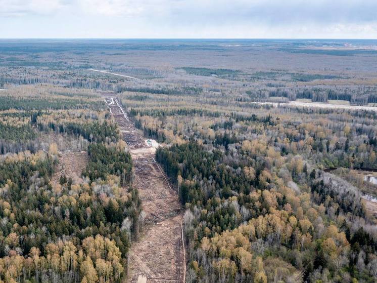 Место для будущей дороги в обход Мурино расчистили до Охты