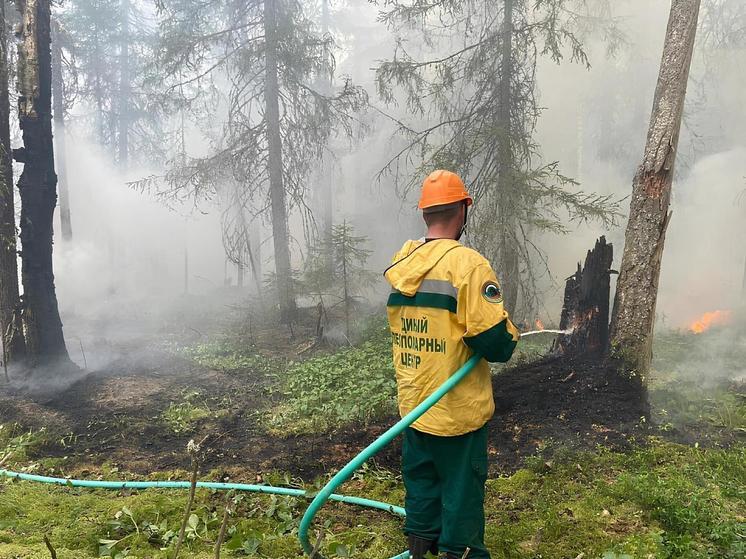 Полсотни парашютистов-пожарных из Архангельска отправились в Томскую область для борьбы с лесными пожарами