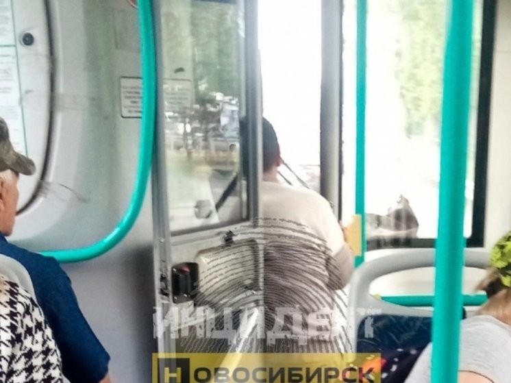 В Новосибирске водитель автобуса №64 на ходу передал руль агрессивному другу
