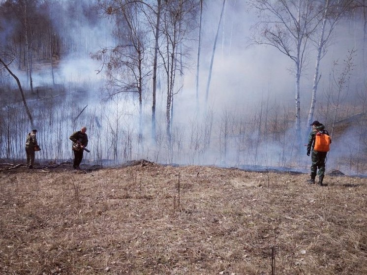Снова 2 лесных возгорания потушили в Приангарье за сутки