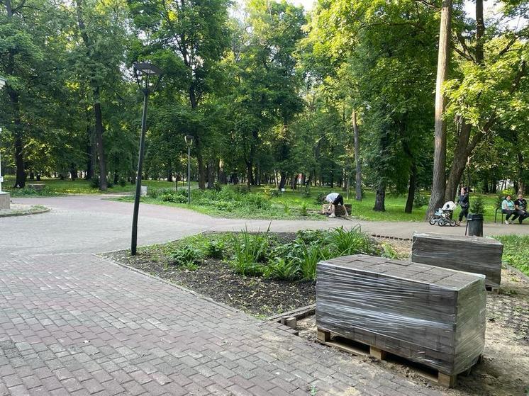 Комплексное благоустройство парка Кулибина началось в Нижнем Новгороде