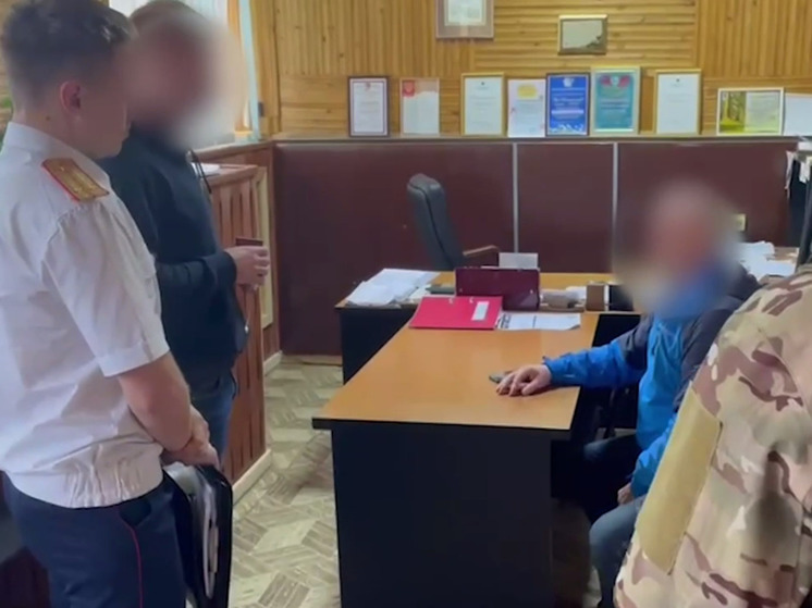 В Красноярском крае главного госинспектора «Лесной охраны» подозревают во взятках