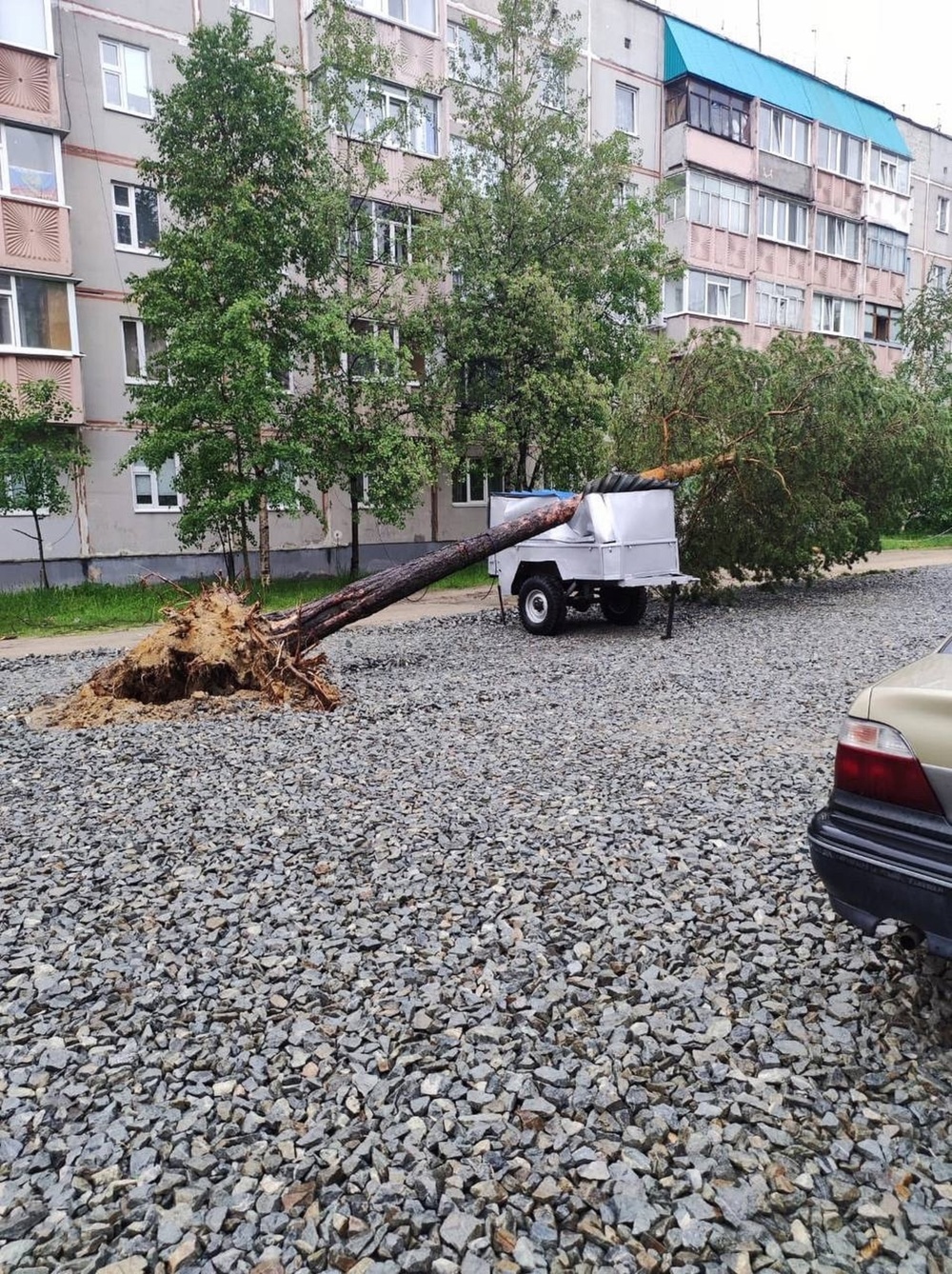 A hurricane in the Yamal-Nenets Autonomous Okrug uprooted trees and brought down a communications mast: the consequences of the rampant elements