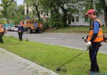 Во всех районах Хабаровска активно идет покос травы. В мае сотрудники «Горзеленстроя» обработали 90 гектаров, в июне должны выйти на показатель в 260 гектаров, сообщили в пресс-службе мэрии краевой столицы.