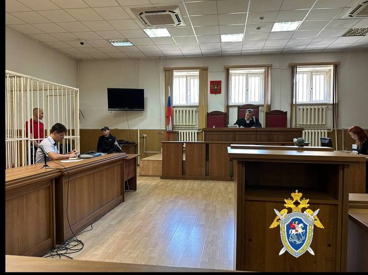 Убившего мать читинца осудили на пожизненный срок за особо тяжкое преступление