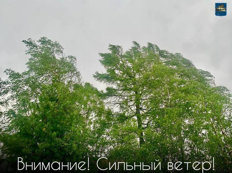Ветер на Ямале усилится до 30 метров в секунду: в МЧС предупредили об опасности