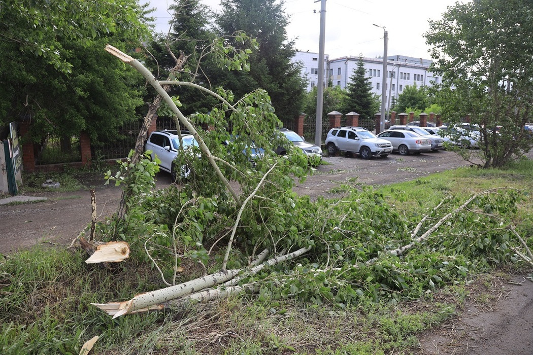 Ураган в симферополе. Выплаты в крыму после урагана форум. Последствия урагана. Калининград после шторма. Непогода в севастополе.
