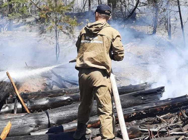 Еще 2 лесных пожара ликвидировали в Приангарье за сутки
