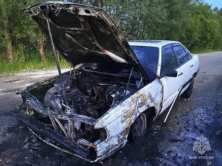 В деревне Пивовка Починковского района на ходу загорелась Audi 100