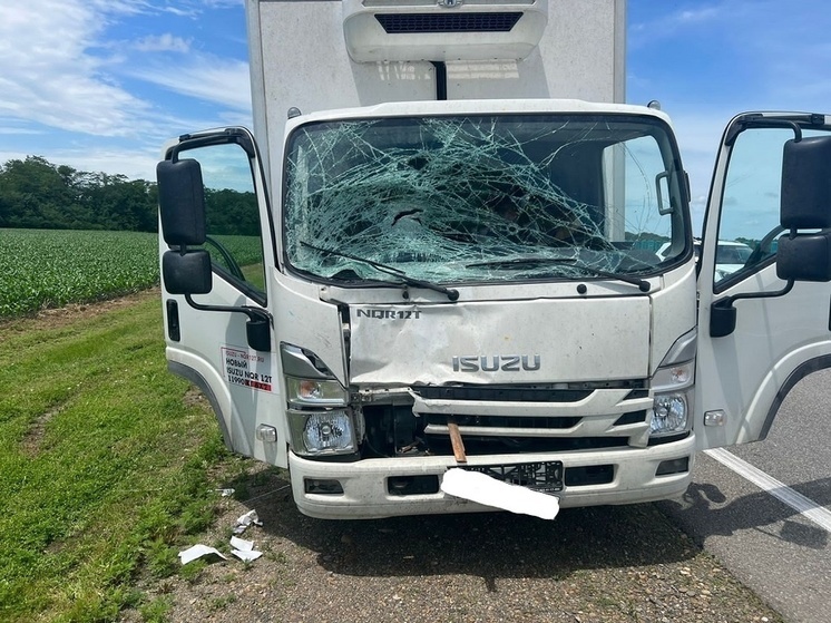 В Гулькевичском районе под колёсами большегруза погиб пожилой велосипедист