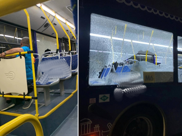 В Астрахани разыскивают дебоширов, разбивших стекло в новом автобусе: видео инцидента