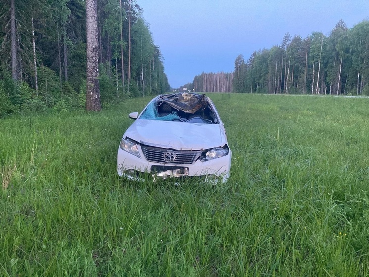 В Вельском районе автолюбитель слетел с дороги после столкновения с лосем