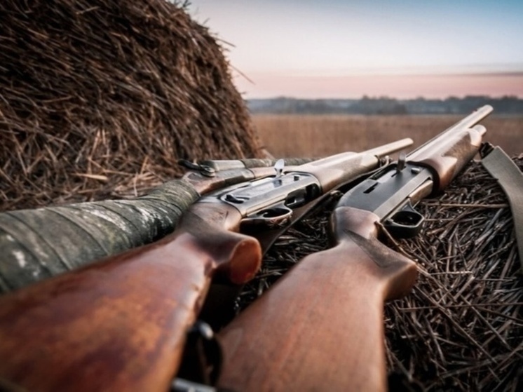 В ЯНАО охотник убил самку оленя в заказнике и попал под следствие